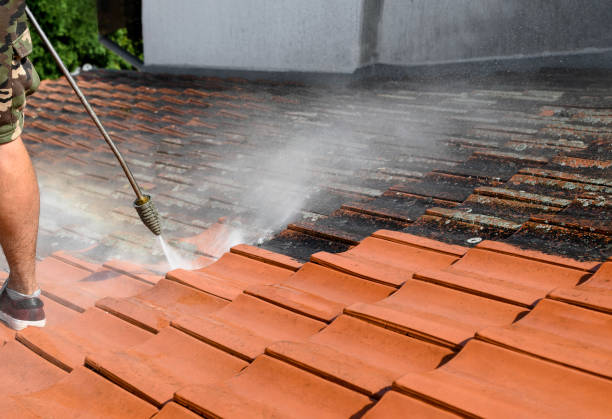 Best Exterior Home Cleaning  in Plattsburg, MO