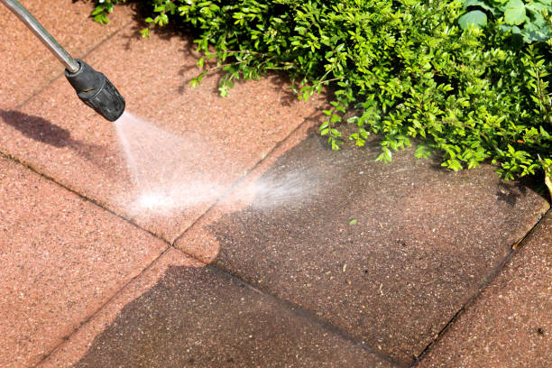 Best Commercial Building Pressure Washing  in Plattsburg, MO