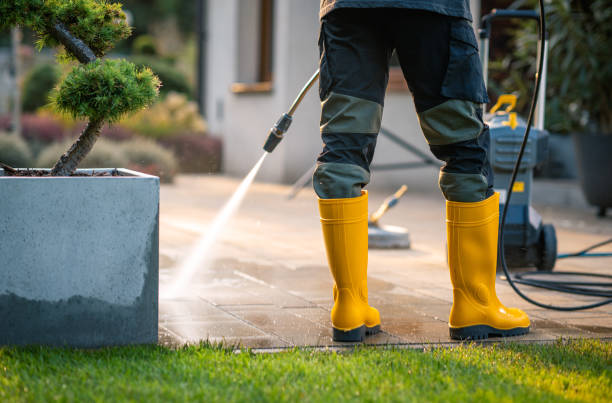 Best Roof Power Washing Services  in Plattsburg, MO